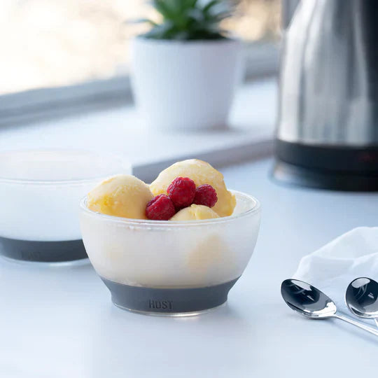 Host IceCream Freeze Bowl In Gray