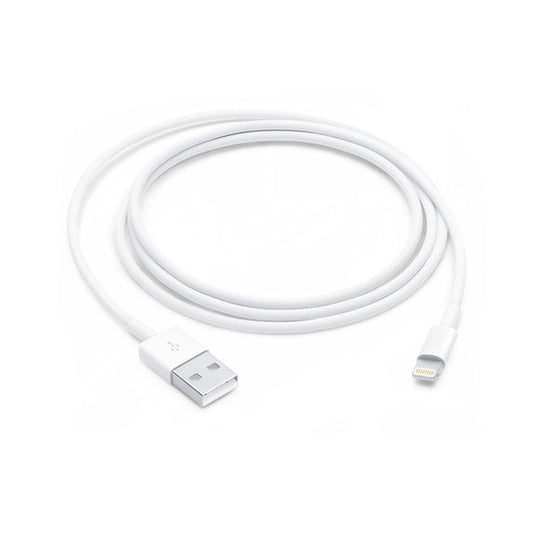 Apple Lightning To USB A Cable