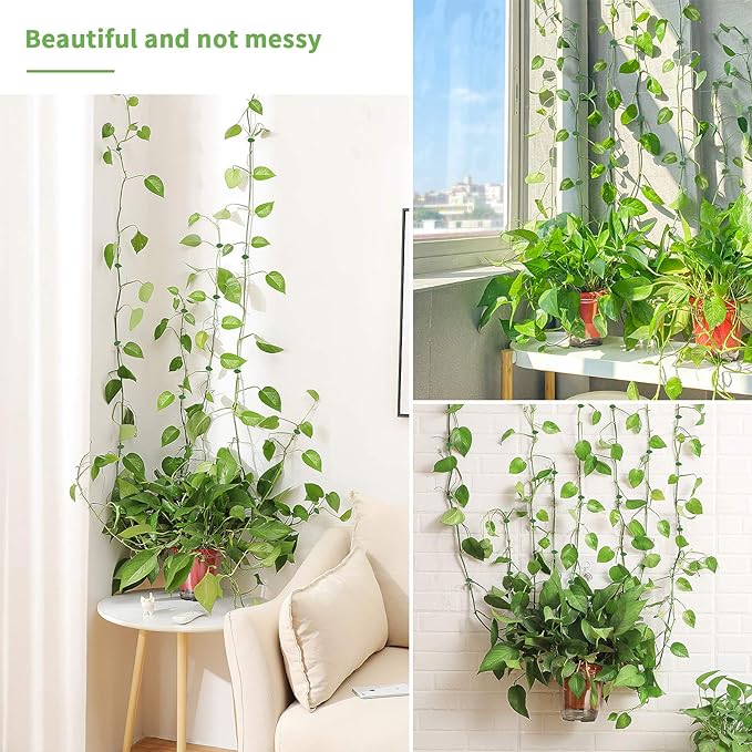 🌱Plant Climbing Wall Fixture Clips || Plant Support Clips🌿 BUY 30 & GET 30 FREE || 60 PCS