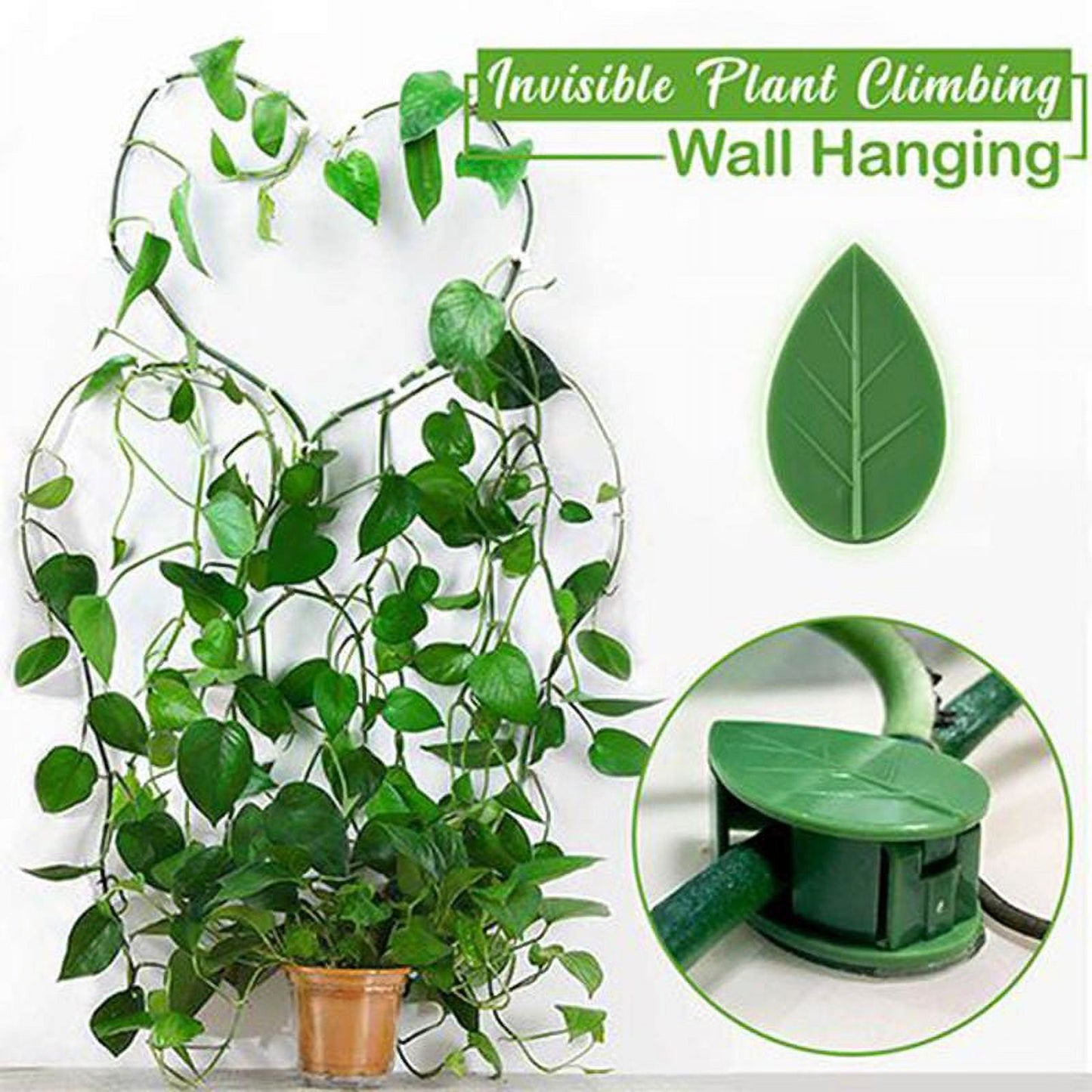 🌱Plant Climbing Wall Fixture Clips || Plant Support Clips🌿 BUY 30 & GET 30 FREE || 60 PCS