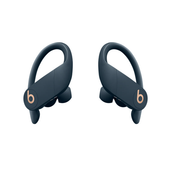 Beats Powerbeats Pro True Wireless Earphones